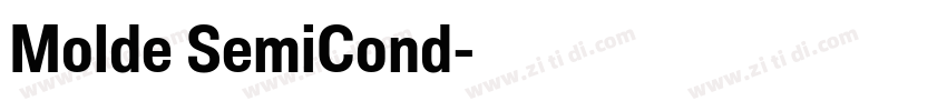 Molde SemiCond字体转换